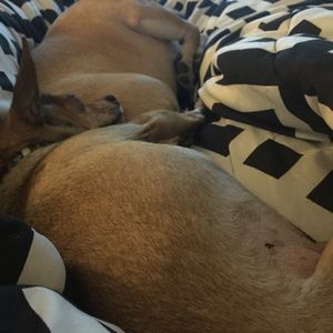 Meet your Posher, Randy